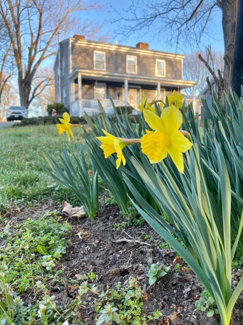 Family Farmhouse Inn image 8